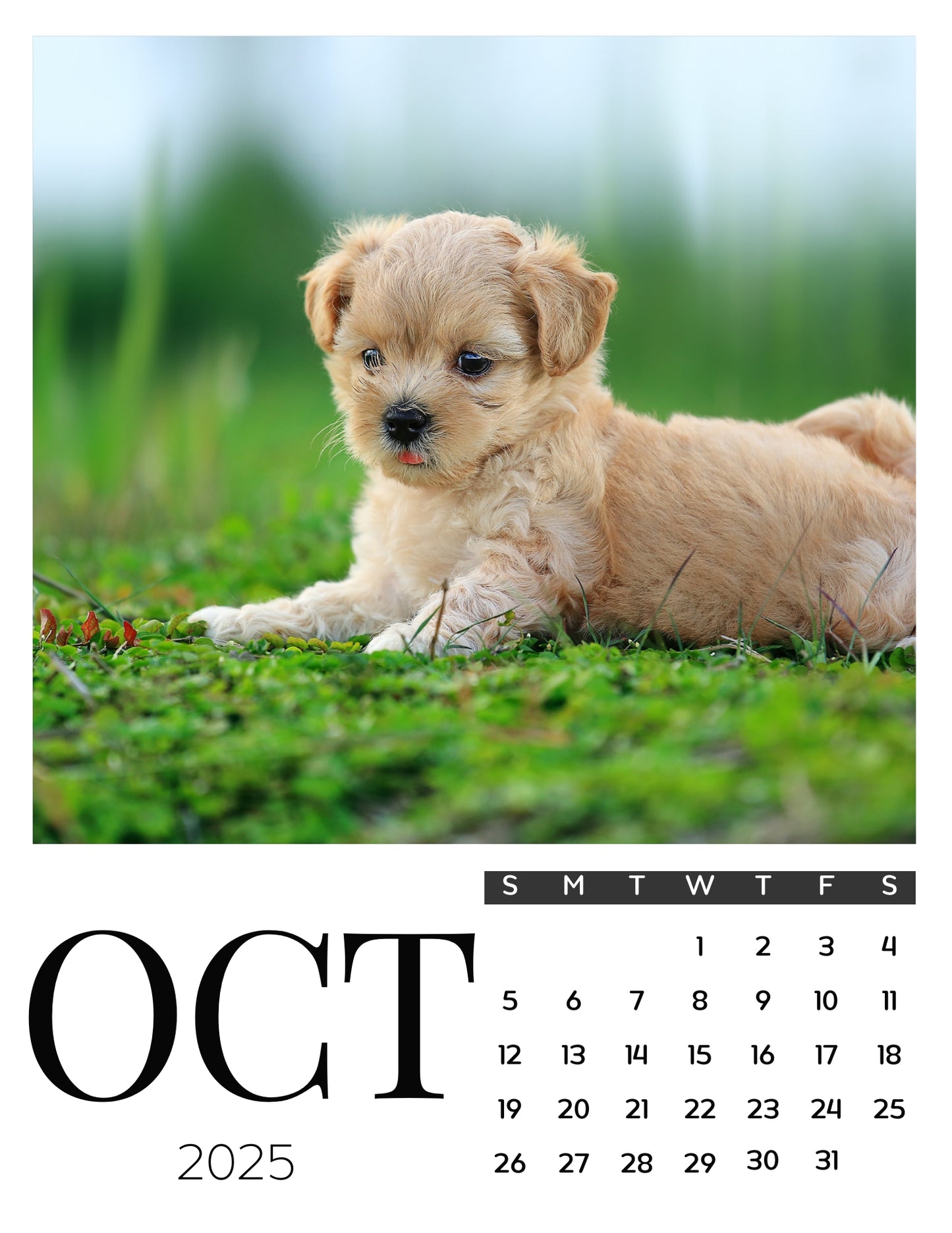 Dog Calendar Magnets