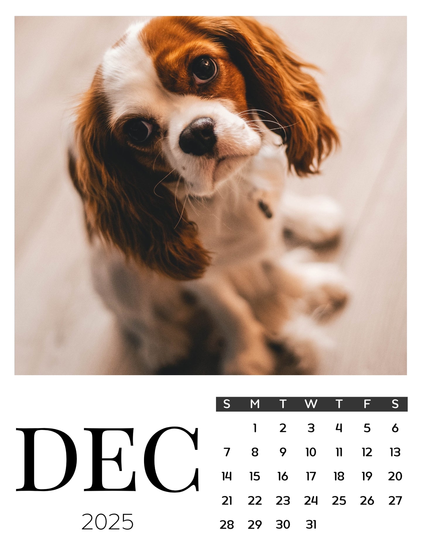 Dog Calendar Magnets