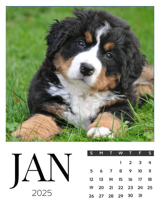 Dog Calendar Magnets