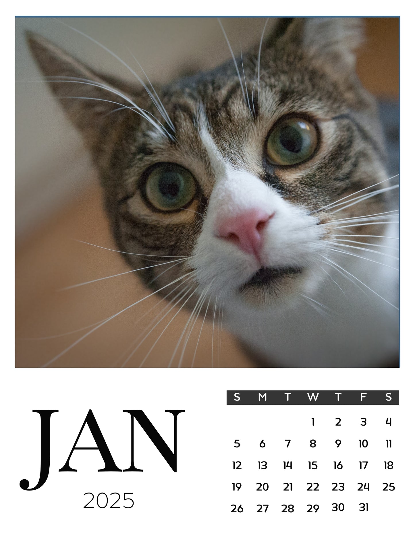 Cat Calendar Magnets