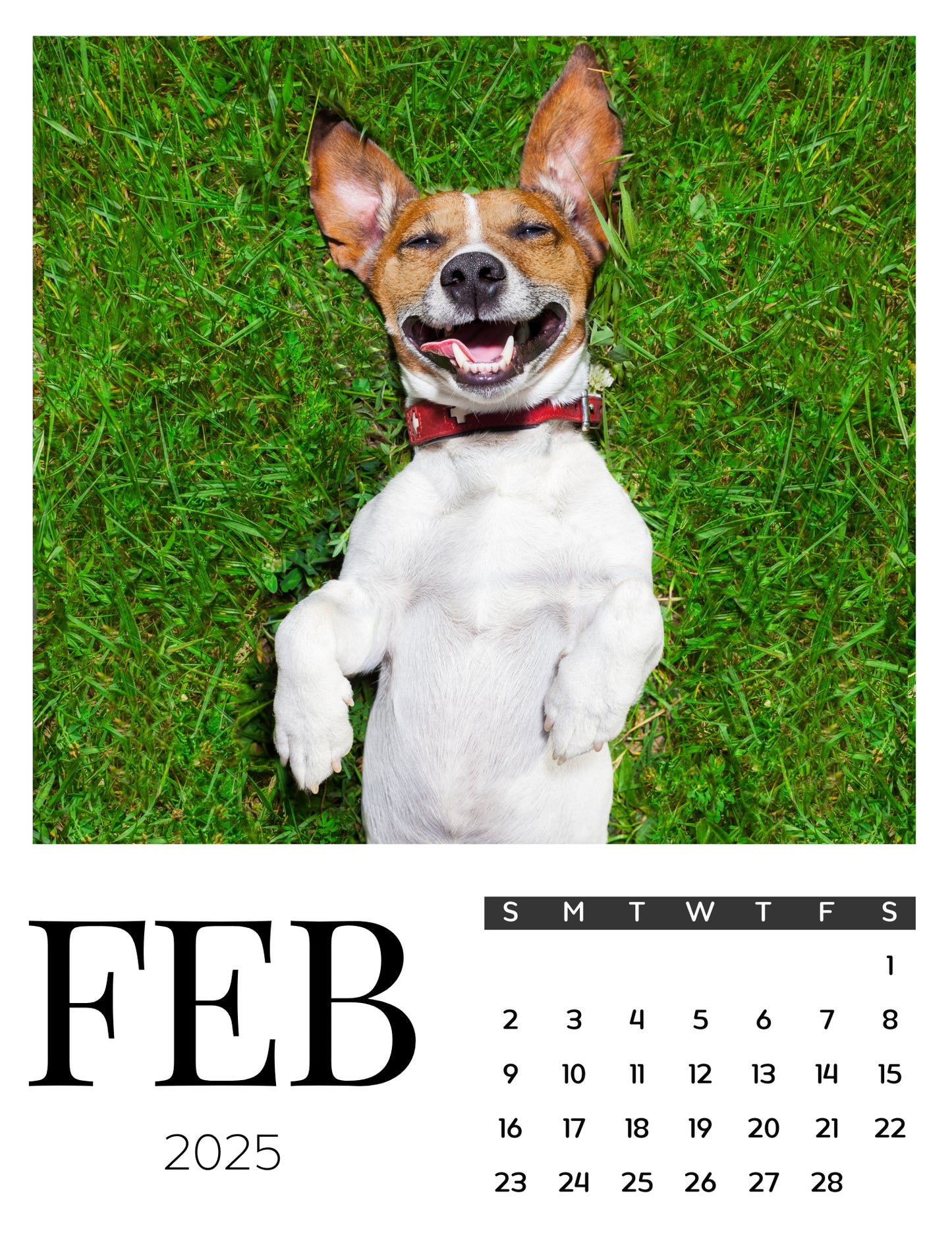 Dog Calendar Magnets