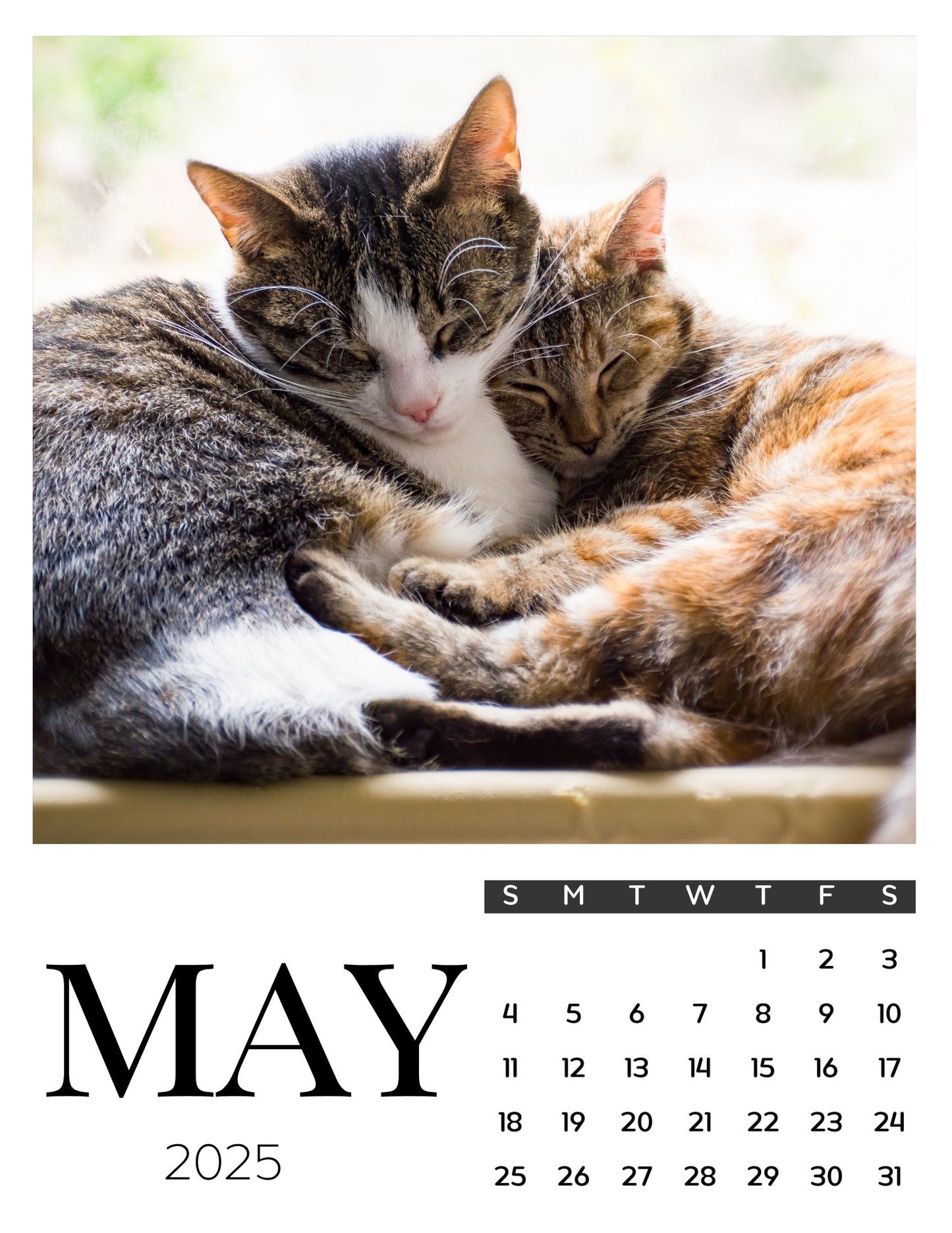 Cat Calendar Magnets