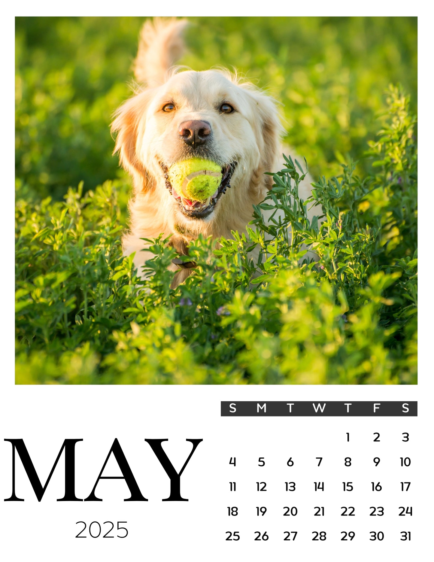 Dog Calendar Magnets