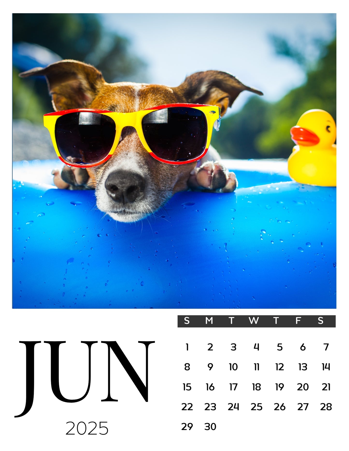 Dog Calendar Magnets