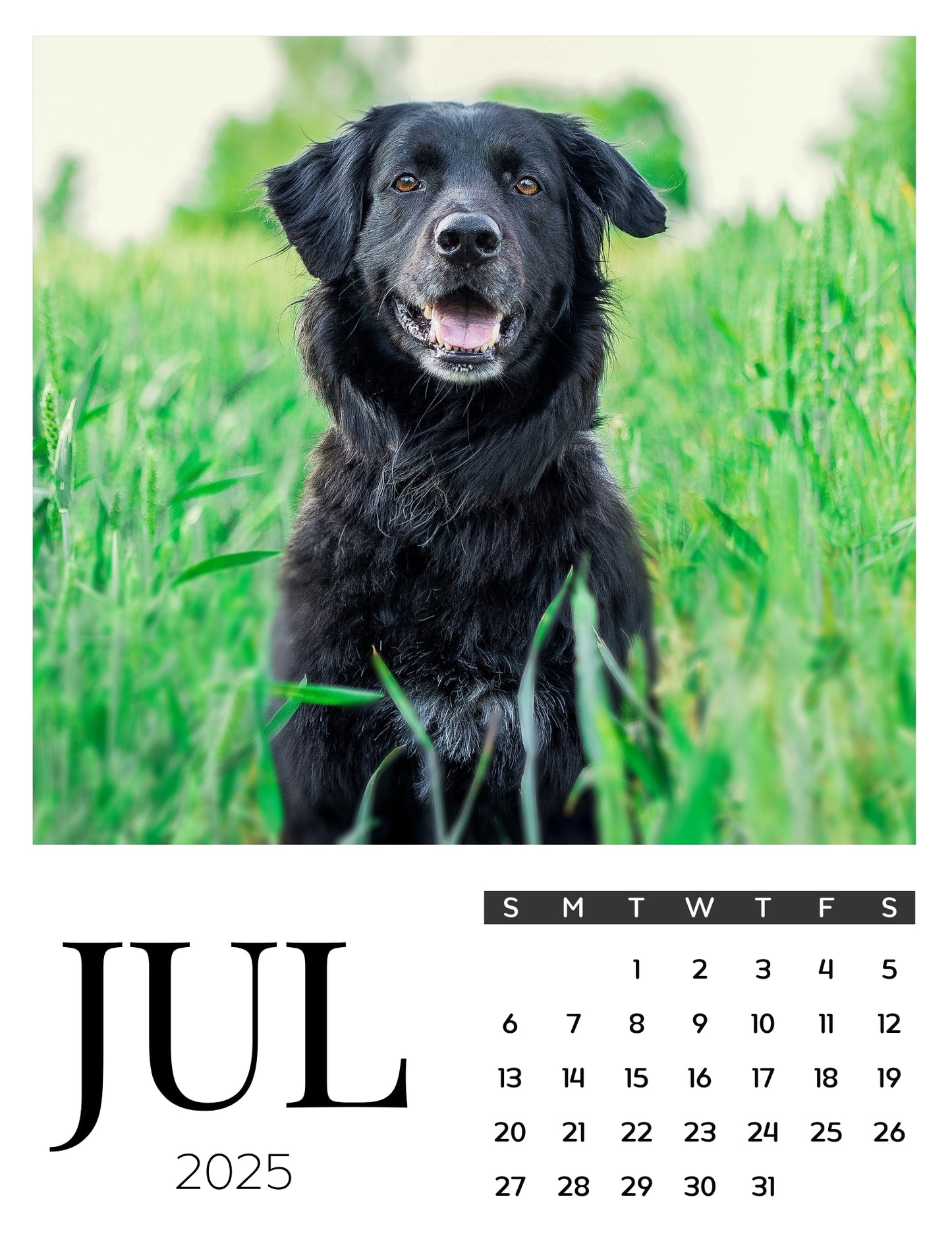 Dog Calendar Magnets